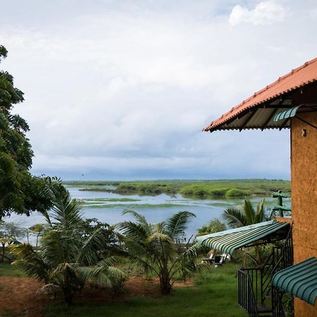 Bundala Flamingo Cotteges Hotel ฮัมบานโตตา ภายนอก รูปภาพ