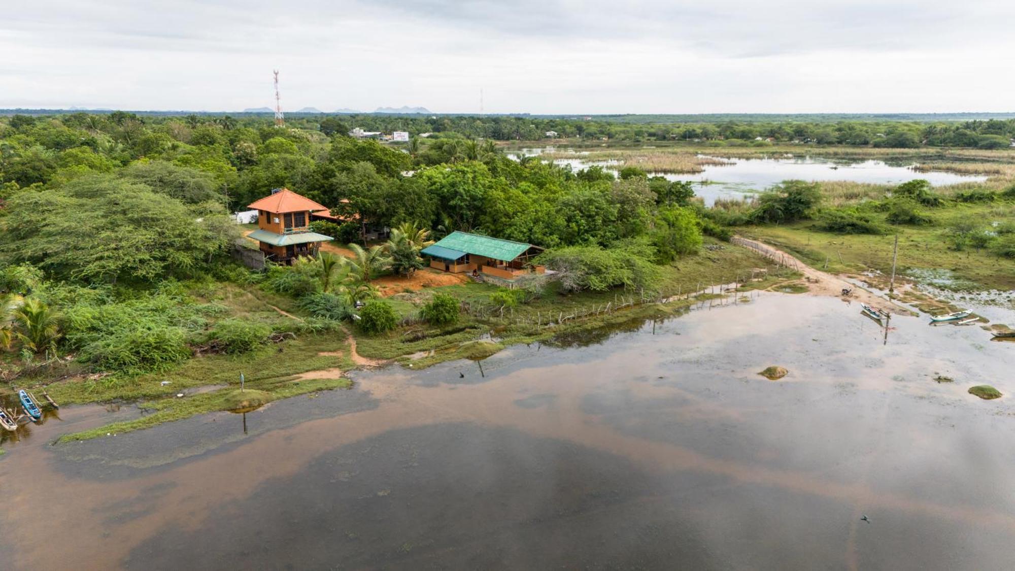 Bundala Flamingo Cotteges Hotel ฮัมบานโตตา ภายนอก รูปภาพ