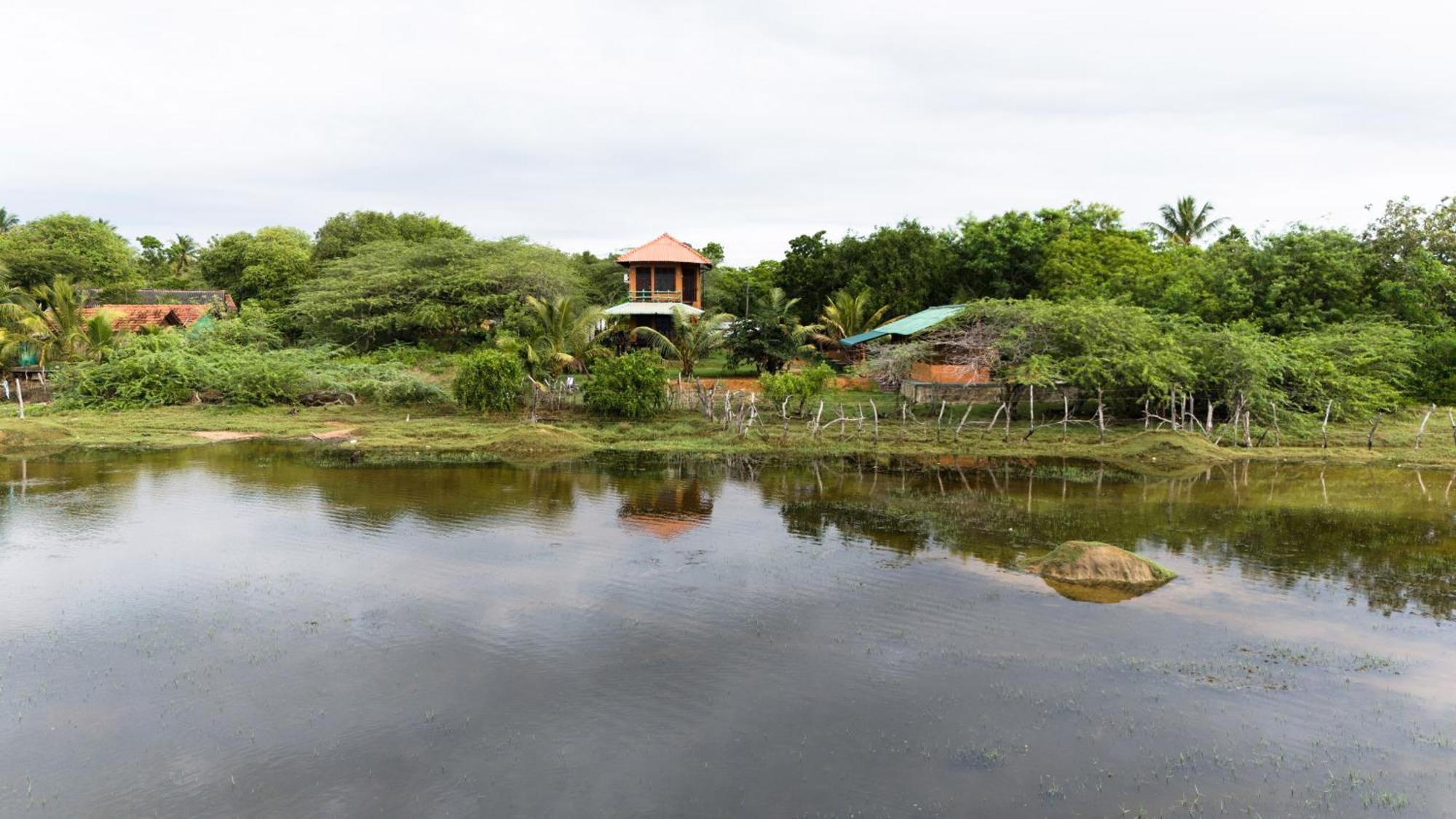 Bundala Flamingo Cotteges Hotel ฮัมบานโตตา ภายนอก รูปภาพ